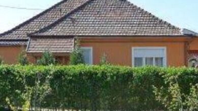 Tünde Vendégház Foktő 