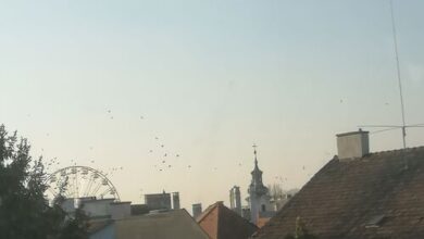 Új Kapu Sunshine Apartments Győr 