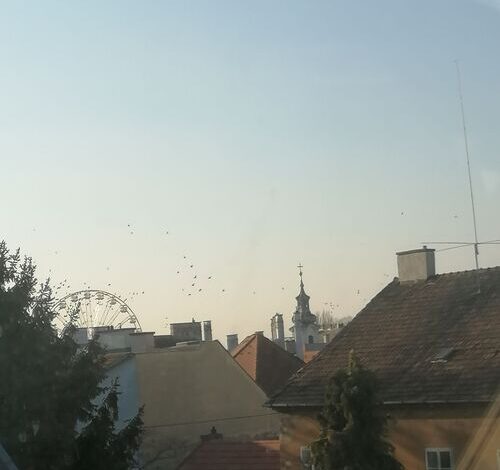 Új Kapu Sunshine Apartments Győr 