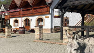 Ulbert Pince Panzió Szederkény 