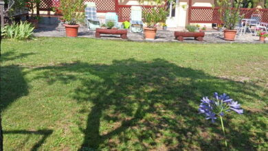 Ulicska Ház Pálháza 