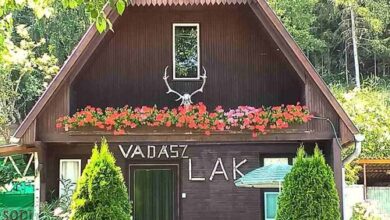 Vadász Lak Sátoraljaújhely 