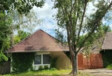 Vadász Liget Pihenő Szatymaz 