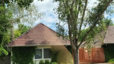 Vadász Liget Pihenő Szatymaz 