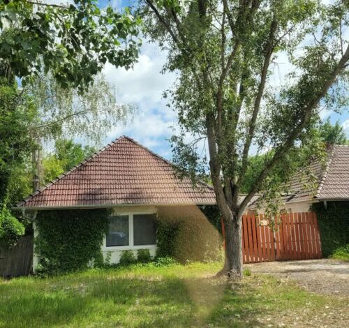 Vadász Liget Pihenő Szatymaz 