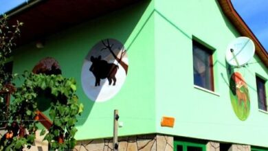 Vadászlak Petrikeresztúr 