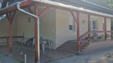 Vaddisznó Lak Kiskunmajsa 