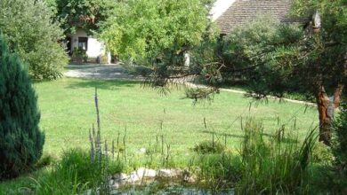 Vadgesztenye Panzió Magyaregregy 