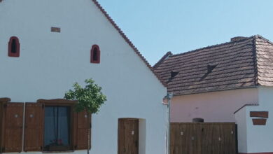 Vadkörte Vendégház Nagytevel 