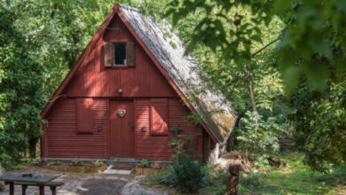 Vadregény Vendégház Gödöllő 