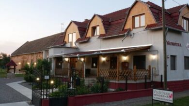 Vadrózsa Vendégház Botykapeterd 