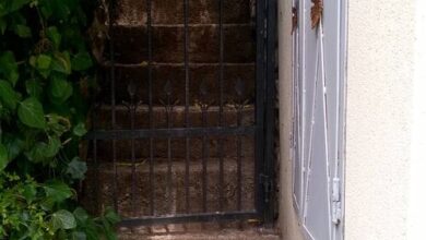 Vadszőlő Apartman Paloznak 