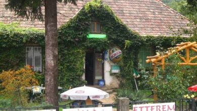 Vadszőlő Szálló és Étterem Bakonybél 