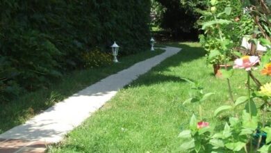 Vadszőlő Vendégház Cák 