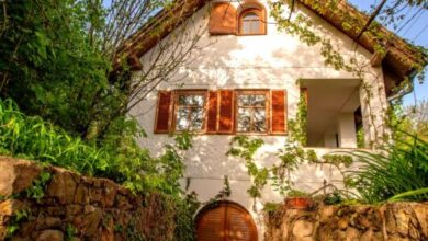 Vadszőlő - Wild Grape Vendégház Badacsonyörs 