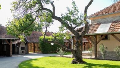 Vadvirág  Apartman 2 Gyula  