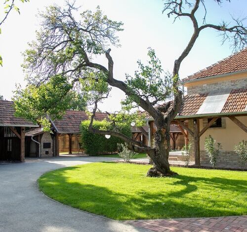 Vadvirág  Apartman 2 Gyula  