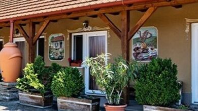 Vadvirág Panzió Tatabánya 