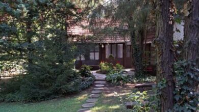 Vadvirág Vendégház Surány Pócsmegyer 