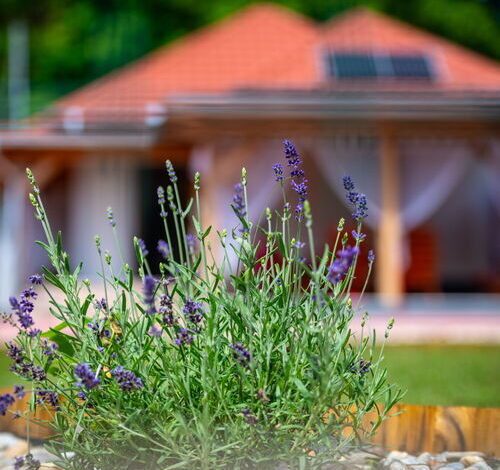 Vagabond Vendégház Valkonya 