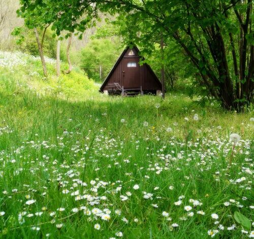 Vár Camping Sirok 