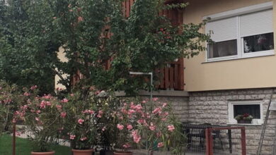 Varga Apartman Siófok-Kiliti 