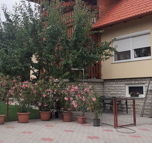 Varga Apartman Siófok-Kiliti 