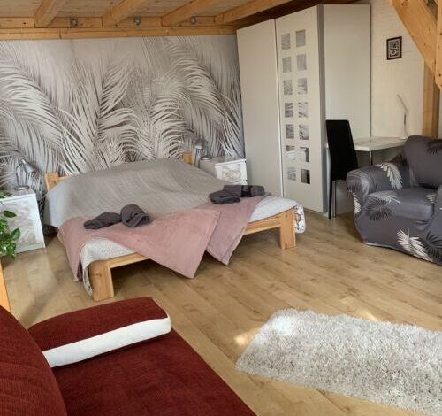 Város Szíve Apartman Kaposvár 