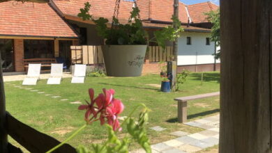 Veronka Vendégház Gombosszeg 