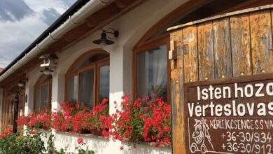 Vérteslovas Erdei Iskola és Szabadidőpark 