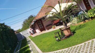 Vigyi Apartman Gyula 