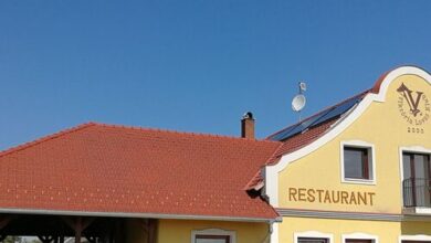 Viktória Lovas Panzió Győr 