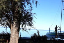 Világosi Part Vendégház Balatonvilágos 