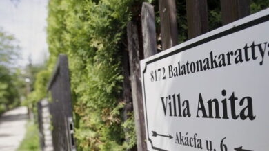 Villa Anita Balatonakarattya 