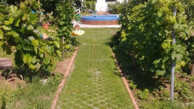 Villa Panoráma Gyenesdiás 