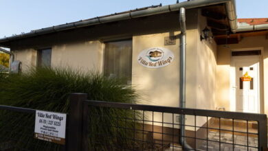 Villa RedWings Dunapataj 