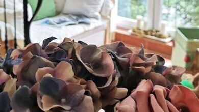 Villa Toscana Hajdúszoboszló 