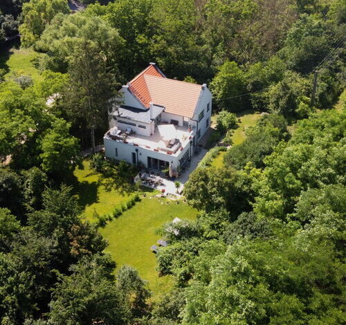 Villa Viridis Borsodgeszt 