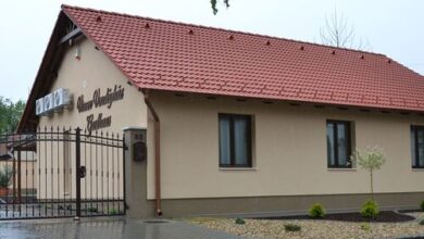 Vincze Üdülőház Kiskunhalas 