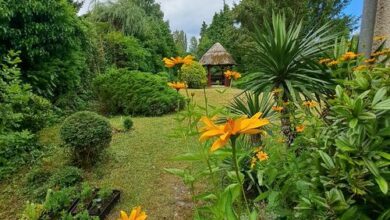 Vincze Vendégház Szigliget 