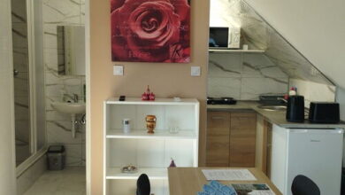 Viola Apartmanok Bogács 