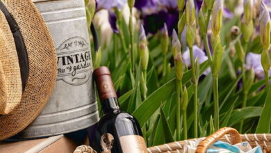 Viola Cottage Bogács 