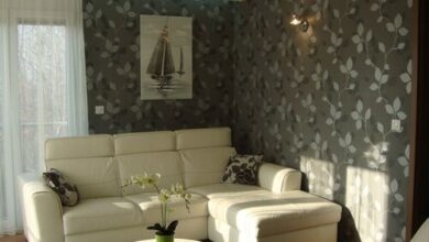 Viola Harmony Apartman Siófok 