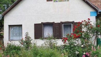 Virágoskert Vendégház Nagybörzsöny 