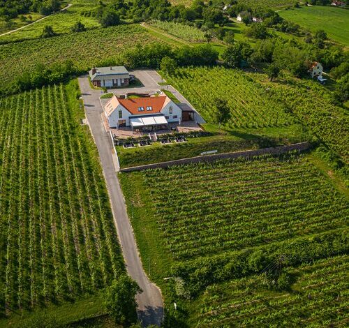 Vitis Kúria Balatonrendes 