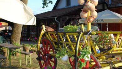 Vízimalom Kemping Panzió és Étterem Túristvándi 