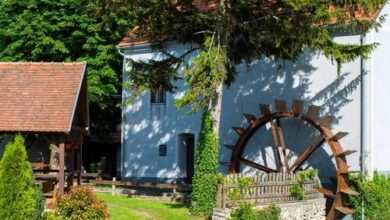 Vízimolnár Vendégház Nemeshany 