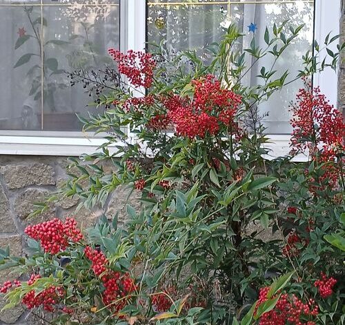 Vízközeli Vendégszoba Balatonfüred 