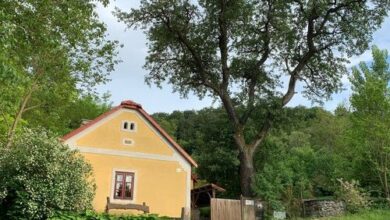 Vörösmarty Ház Kapolcs 