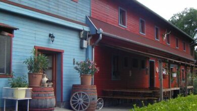 Williams Village Bowling és Country Club Budapest 